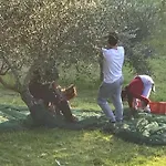 Colle Cornetto Κατάλυμα σε φάρμα Σπολέτο