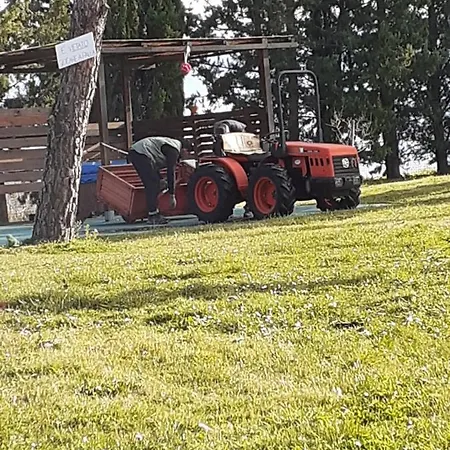 Séjour à la ferme Colle Cornetto *
