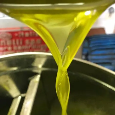 Colle Cornetto Lantgård Spoleto