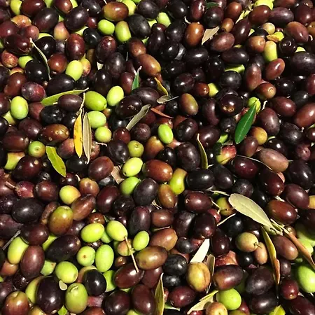 Lantgård Colle Cornetto *