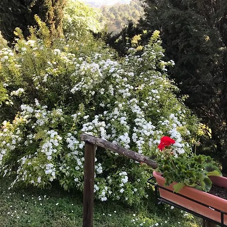 Agroturismo Colle Cornetto *