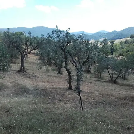 Colle Cornetto בית חווה