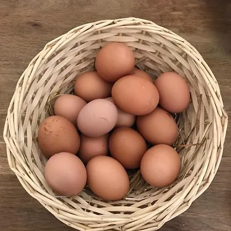 Lantgård Colle Cornetto