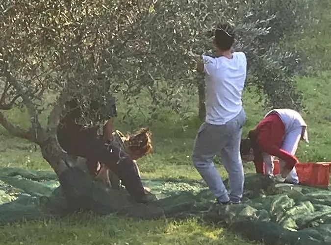 Colle Cornetto Agroturismo Spoleto