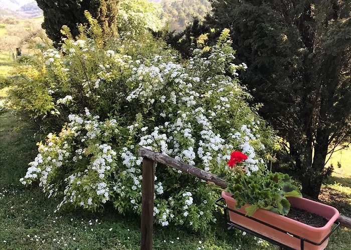 Agroturismo Colle Cornetto *