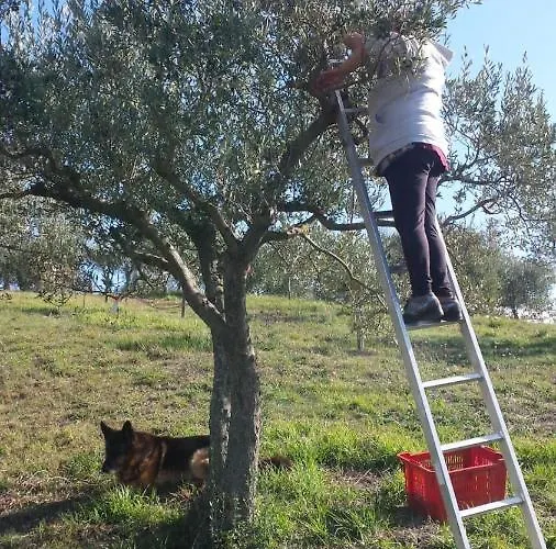 Colle Cornetto Vakantieboerderij Spoleto