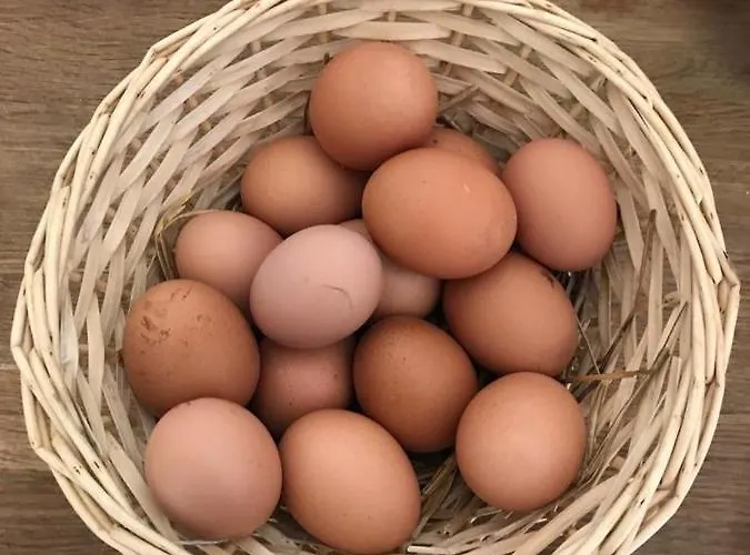 Agroturismo Colle Cornetto